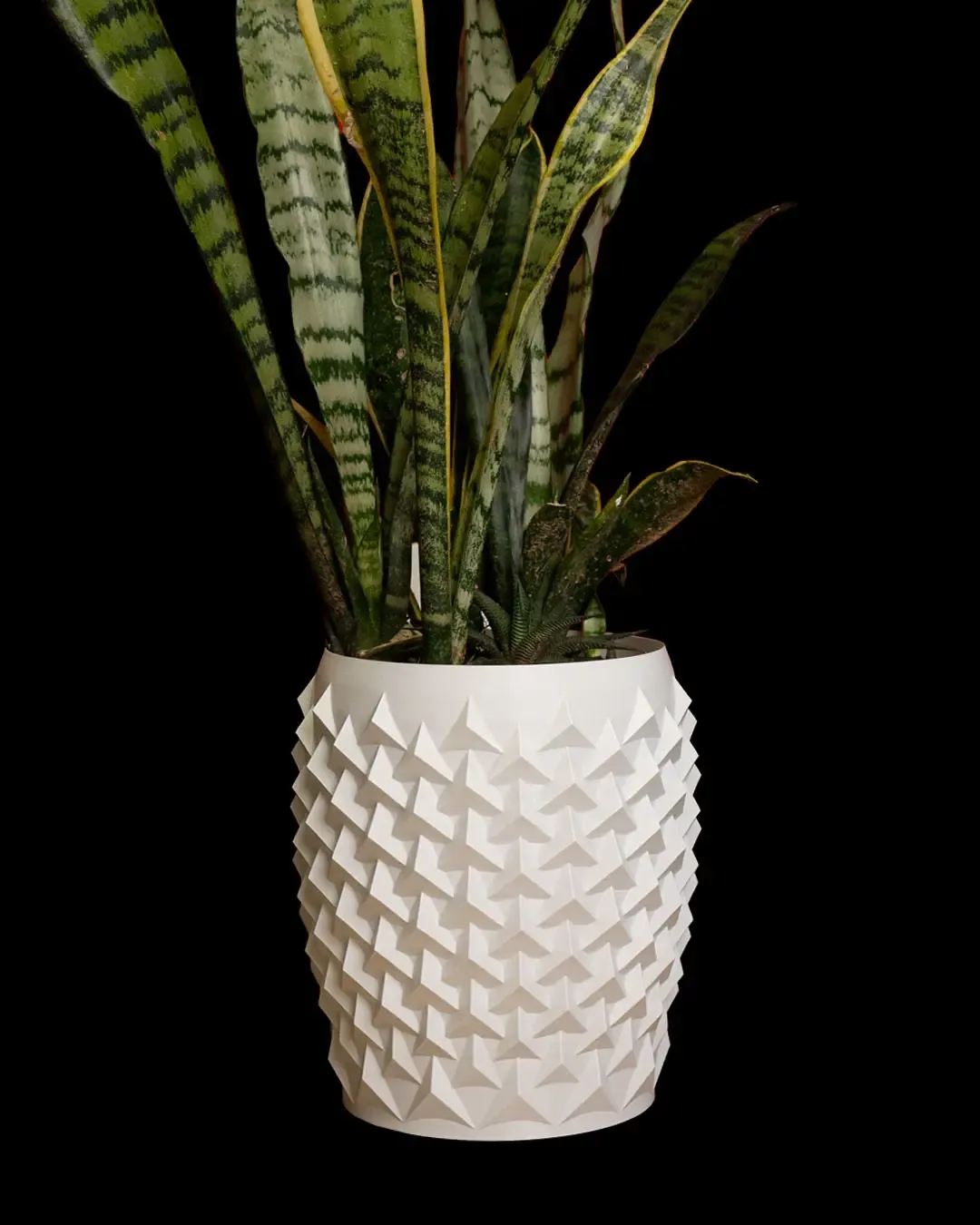 Pointy Flowerpot1 9ba198ea03