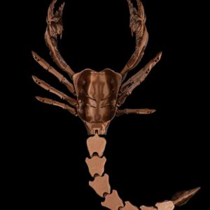 Scorpion Grasp Halloween Mask5 da69223dfa