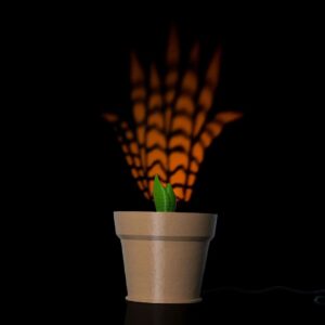 Snake Plant Wall Light1 e966615879