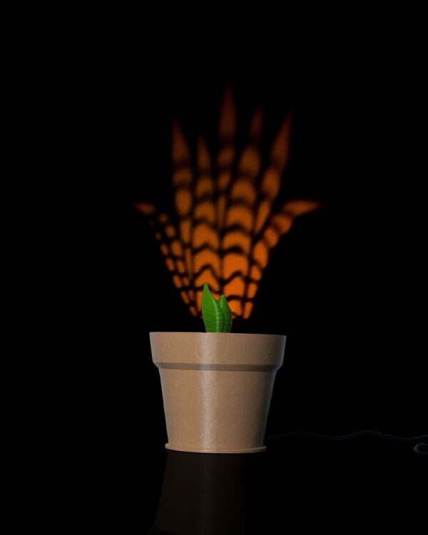 Snake Plant Wall Light1 e966615879