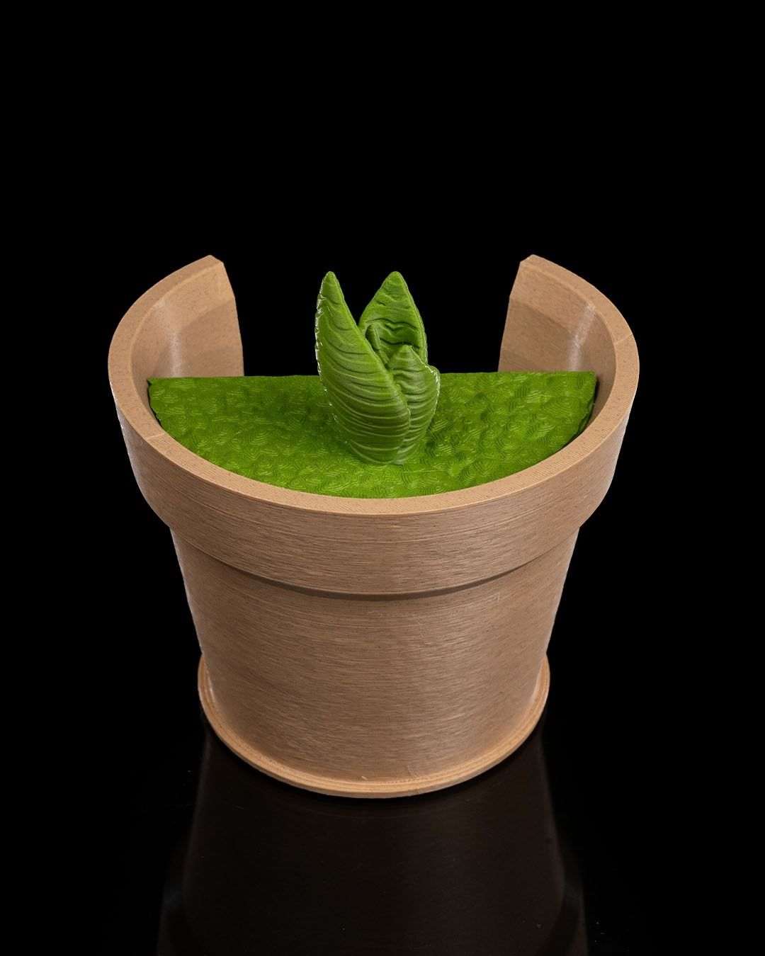 Snake Plant Wall Light4 0c6ea6d92e