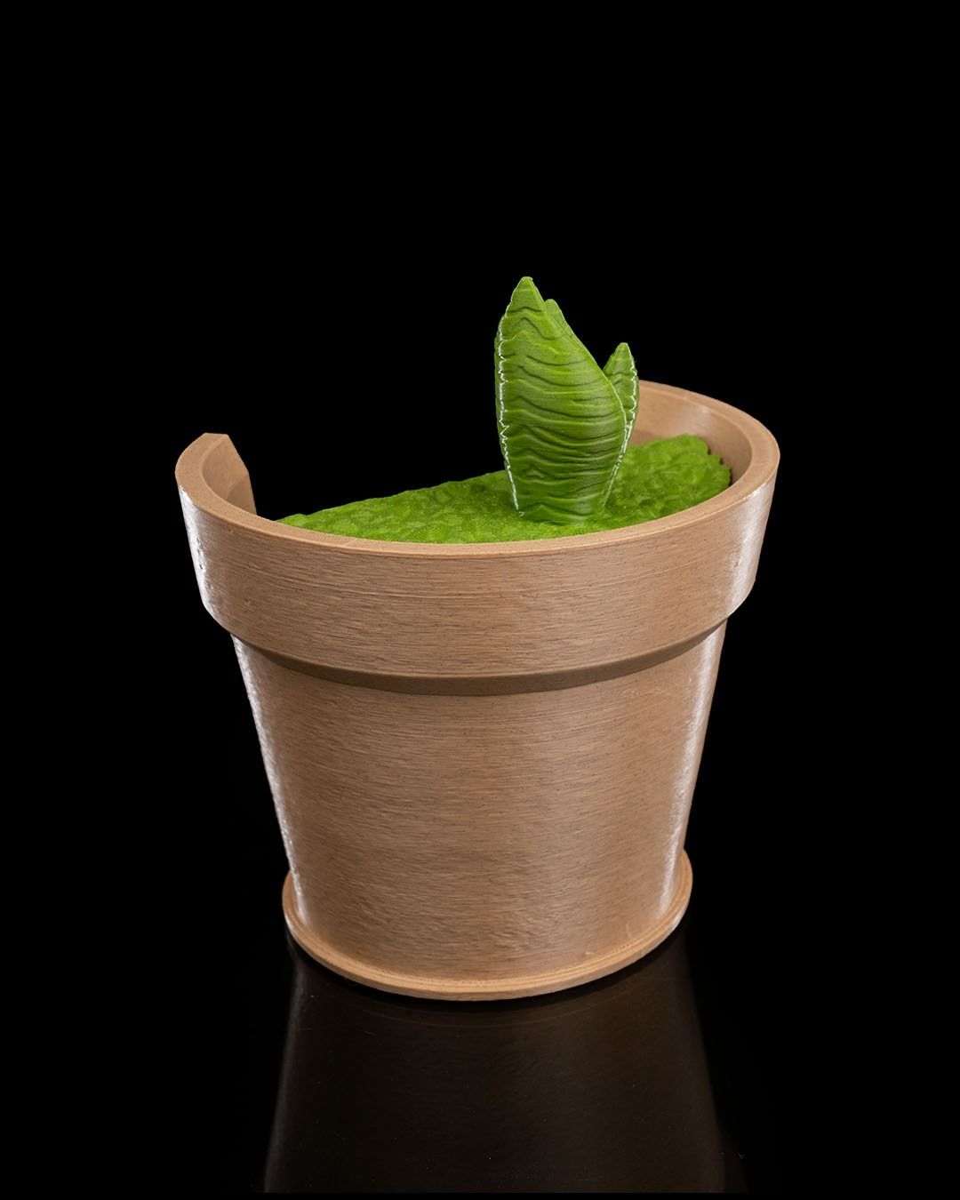 Snake Plant Wall Light5 4a865e68b7