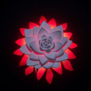 The Lotus Wall Light 1 90cb391de0