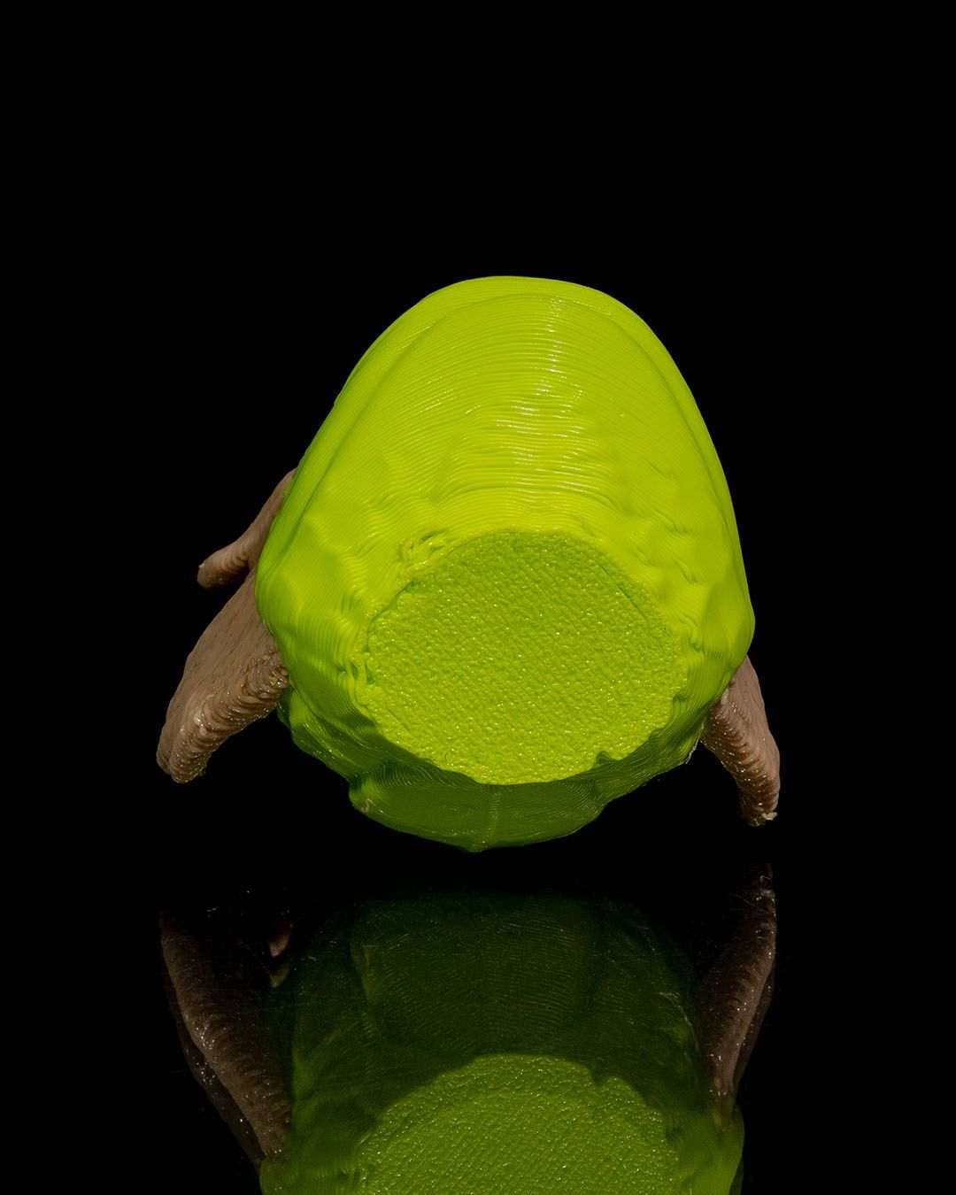 baby leaf dragon3 26df856785