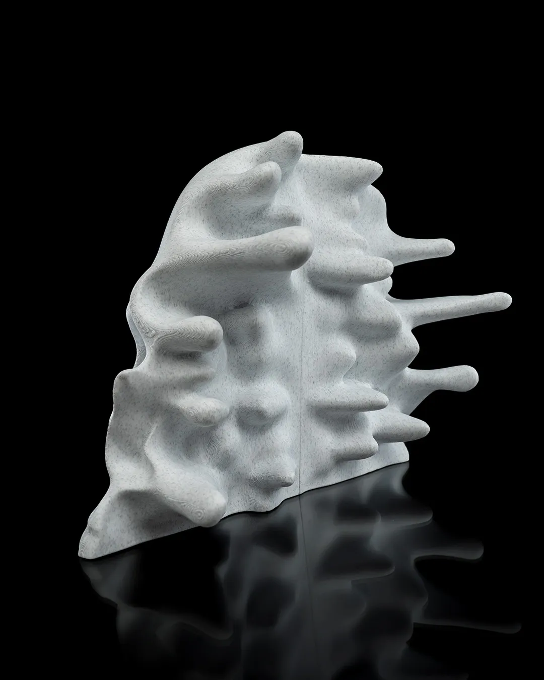 RI Pped skull 10 50d1678331