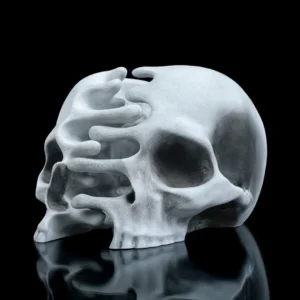 RI Pped skull 2 f1ac065deb