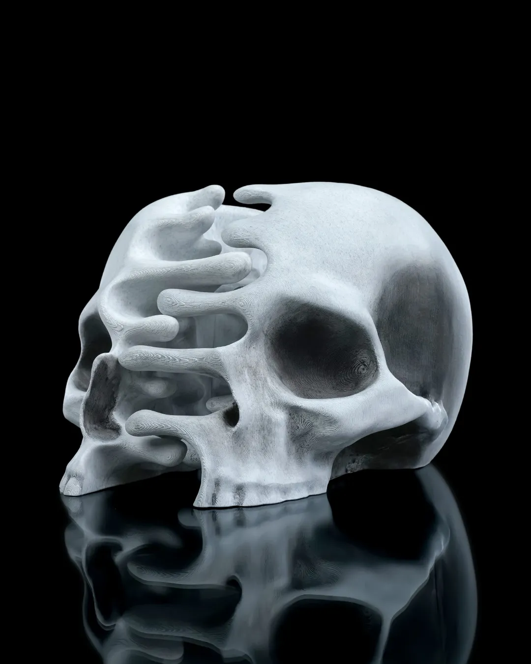 RI Pped skull 2 f1ac065deb