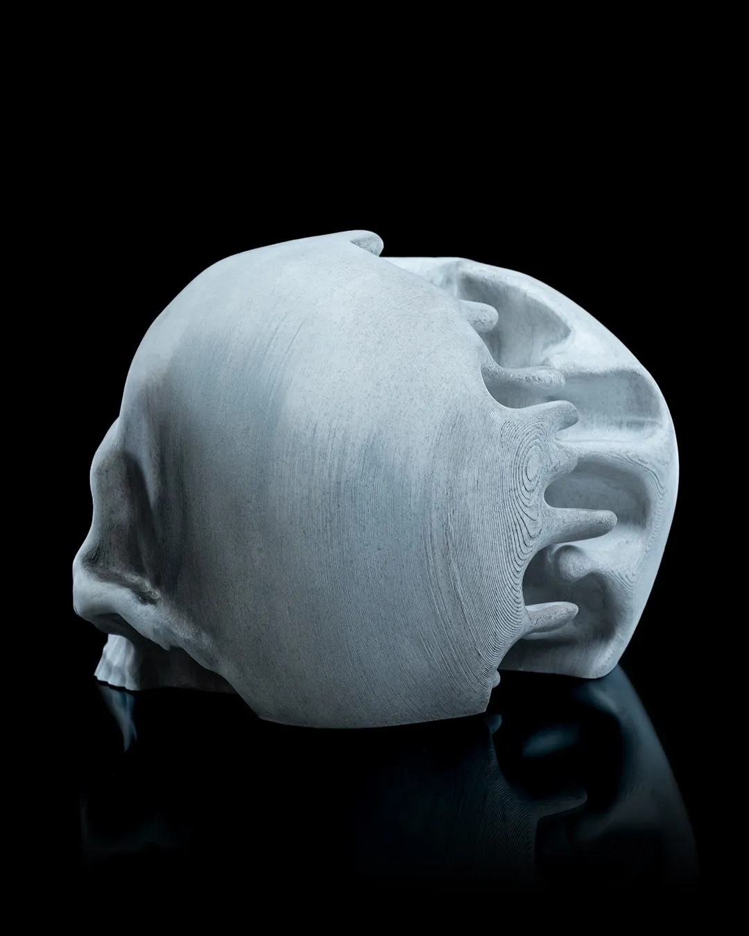 RI Pped skull 4 9f28dc11eb