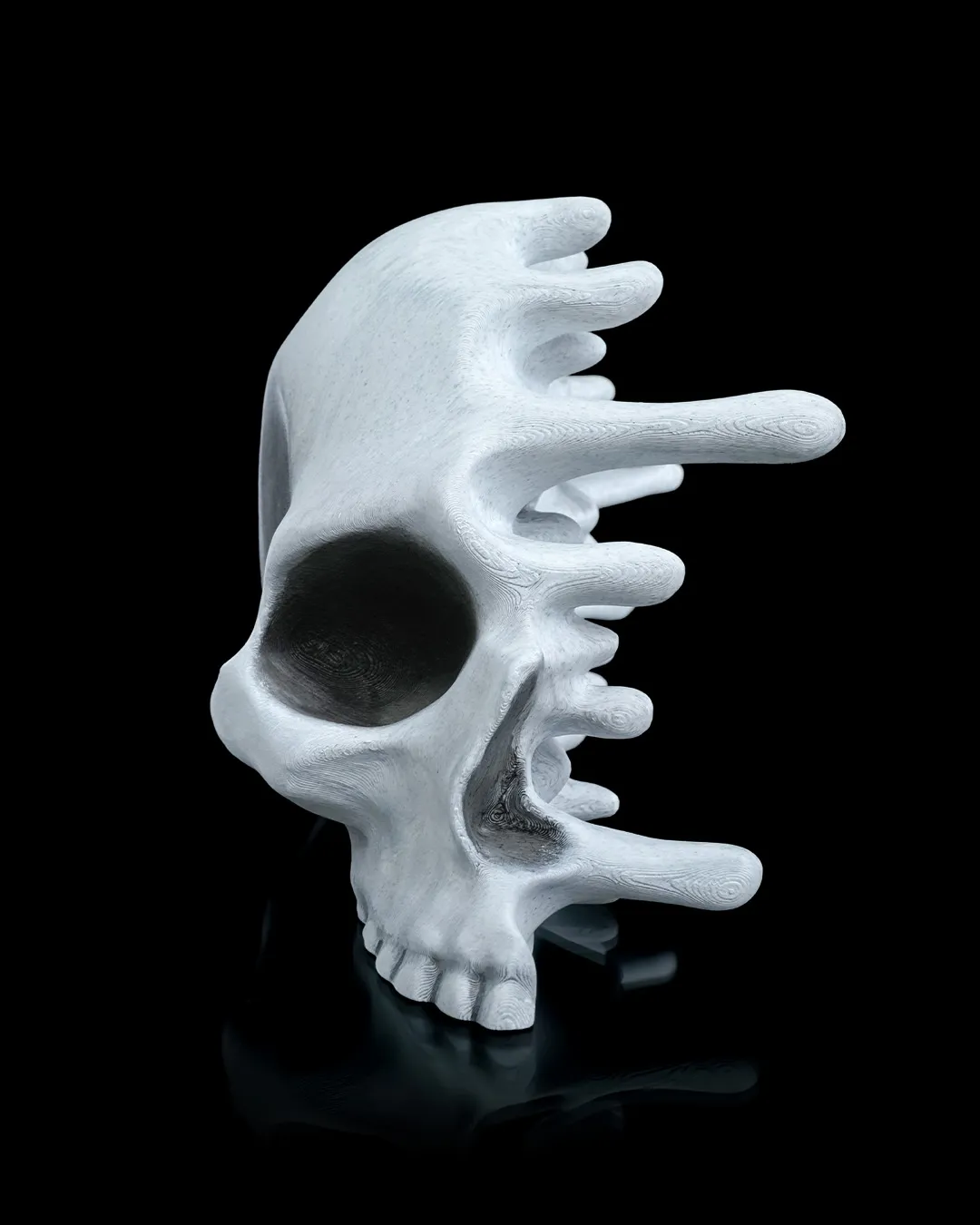 RI Pped skull 6 90fb7b4c0d