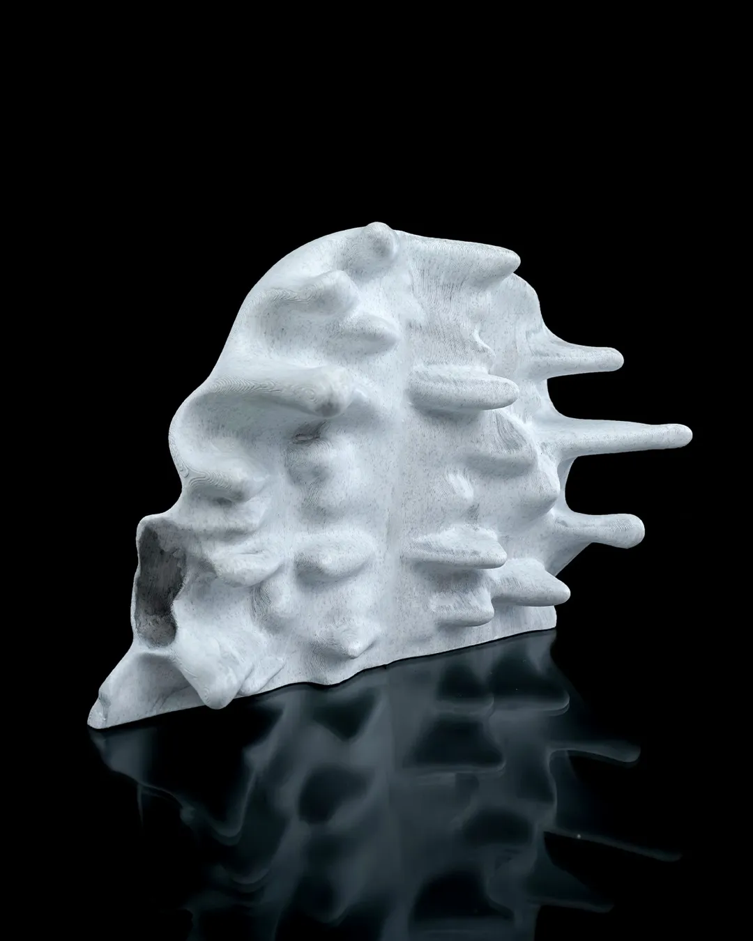 RI Pped skull 7 effaab807c